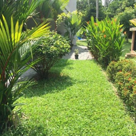 White Butterfly - A Countryside Homestay Thiruvananthapuram Exterior foto