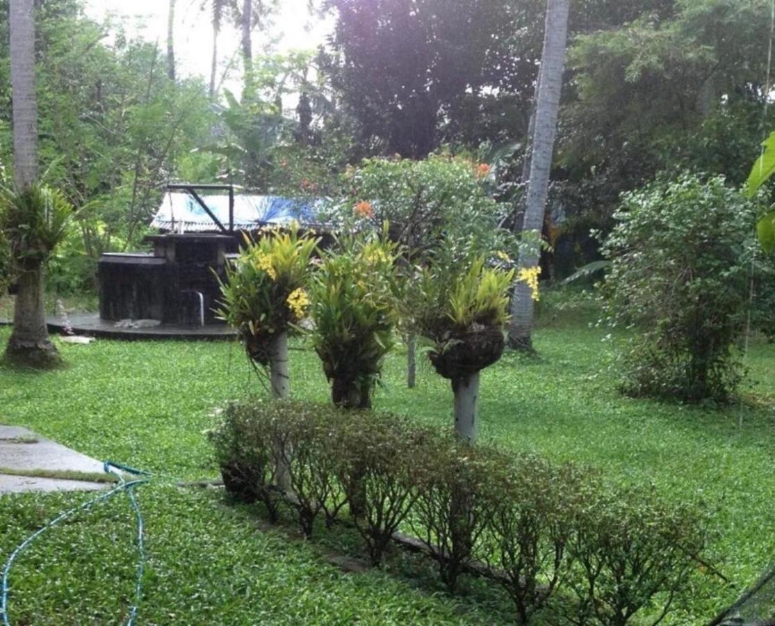 White Butterfly - A Countryside Homestay Thiruvananthapuram Exterior foto